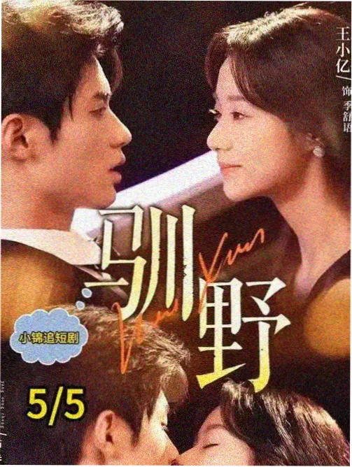 雾港档案 更新封面